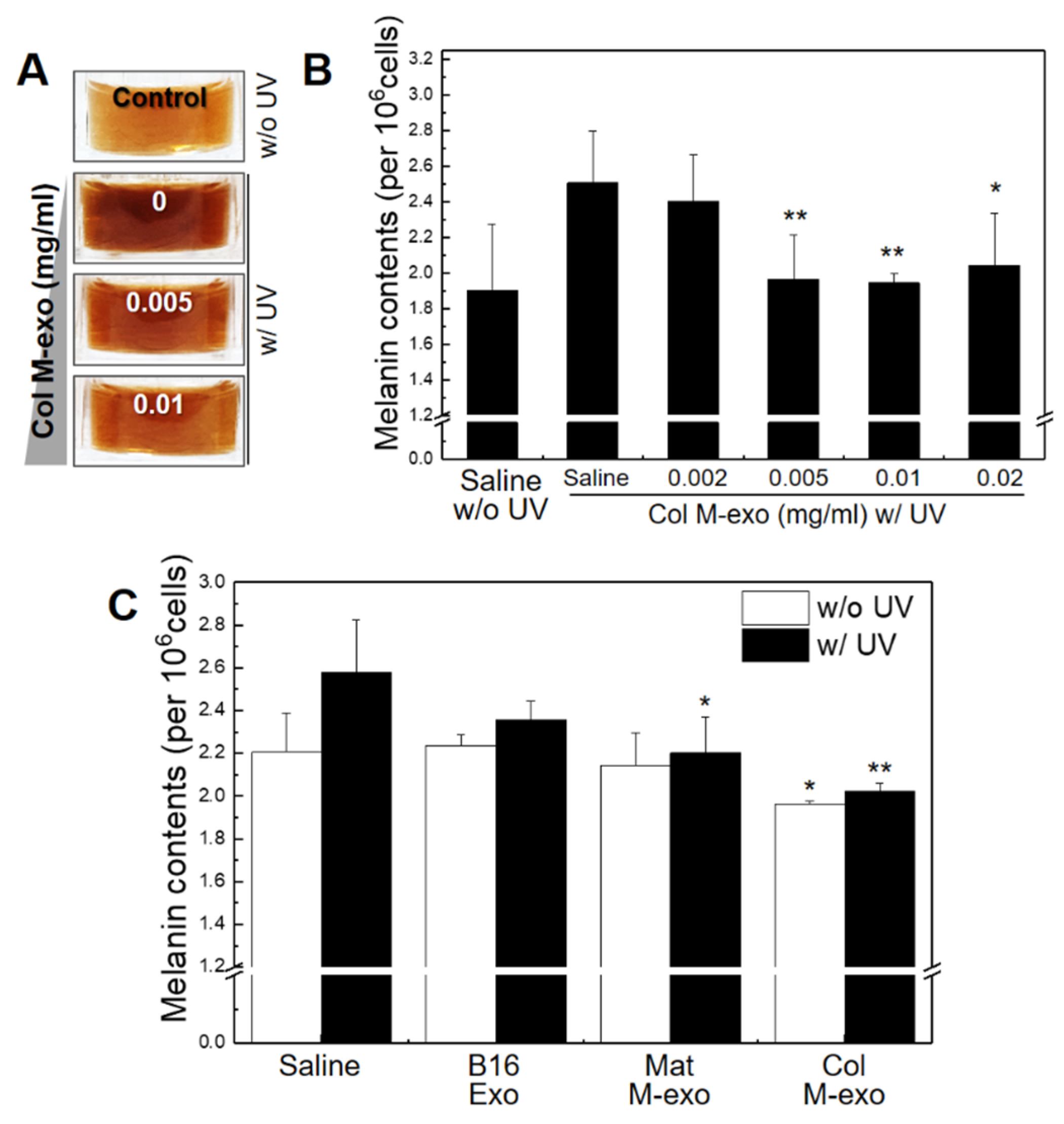 Milk exosomes reduce UV-induced melanin production in B16F10 cells in a dose-dependent manner.